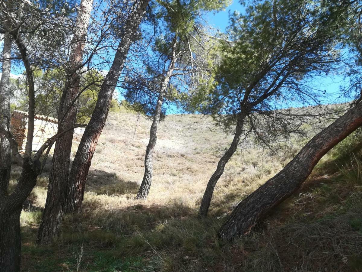 Casa Blanca Affittacamere Alhama de Aragón Esterno foto